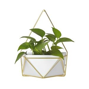 wall planter